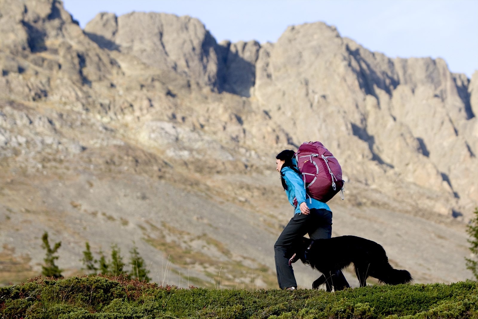 Fottur i fjellet. Galleribilde