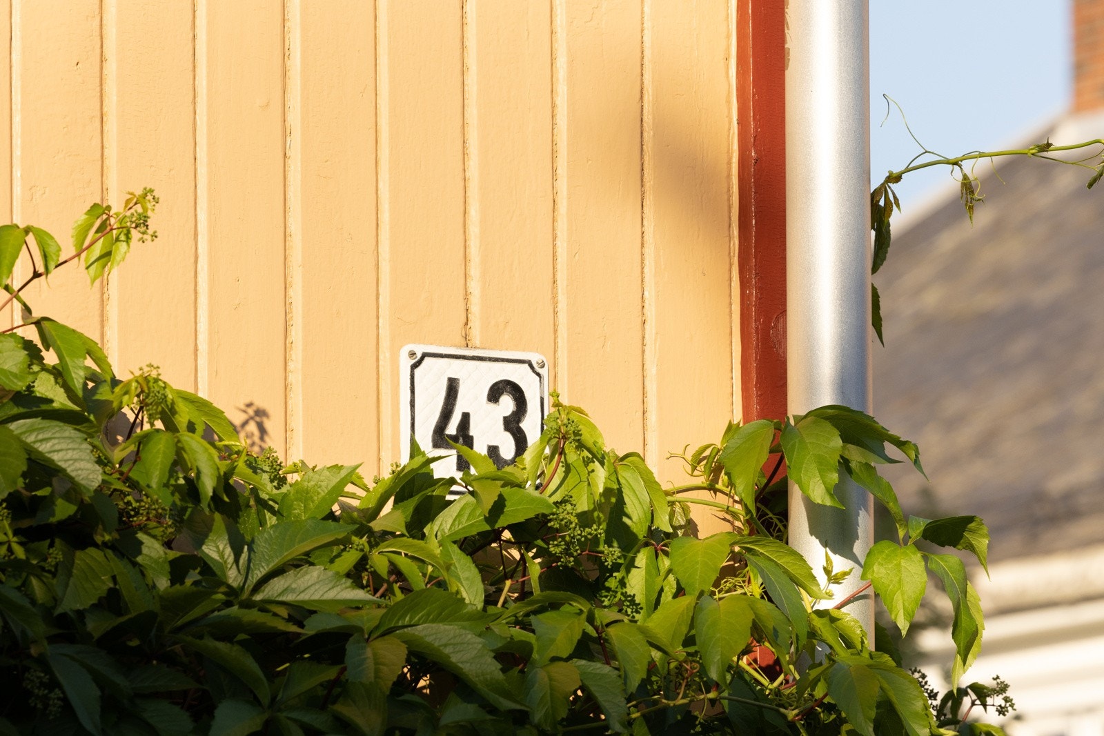 Ole Bulls gate 43. Galleribilde