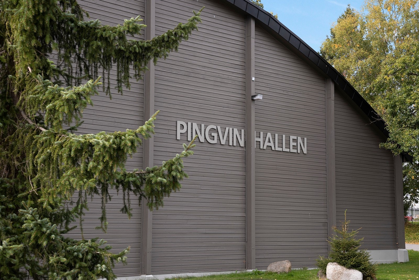 Kort vei til tennis i Pingvinhallen Galleribilde
