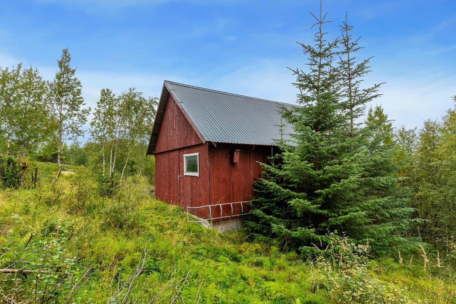 Mot naustet. Galleribilde