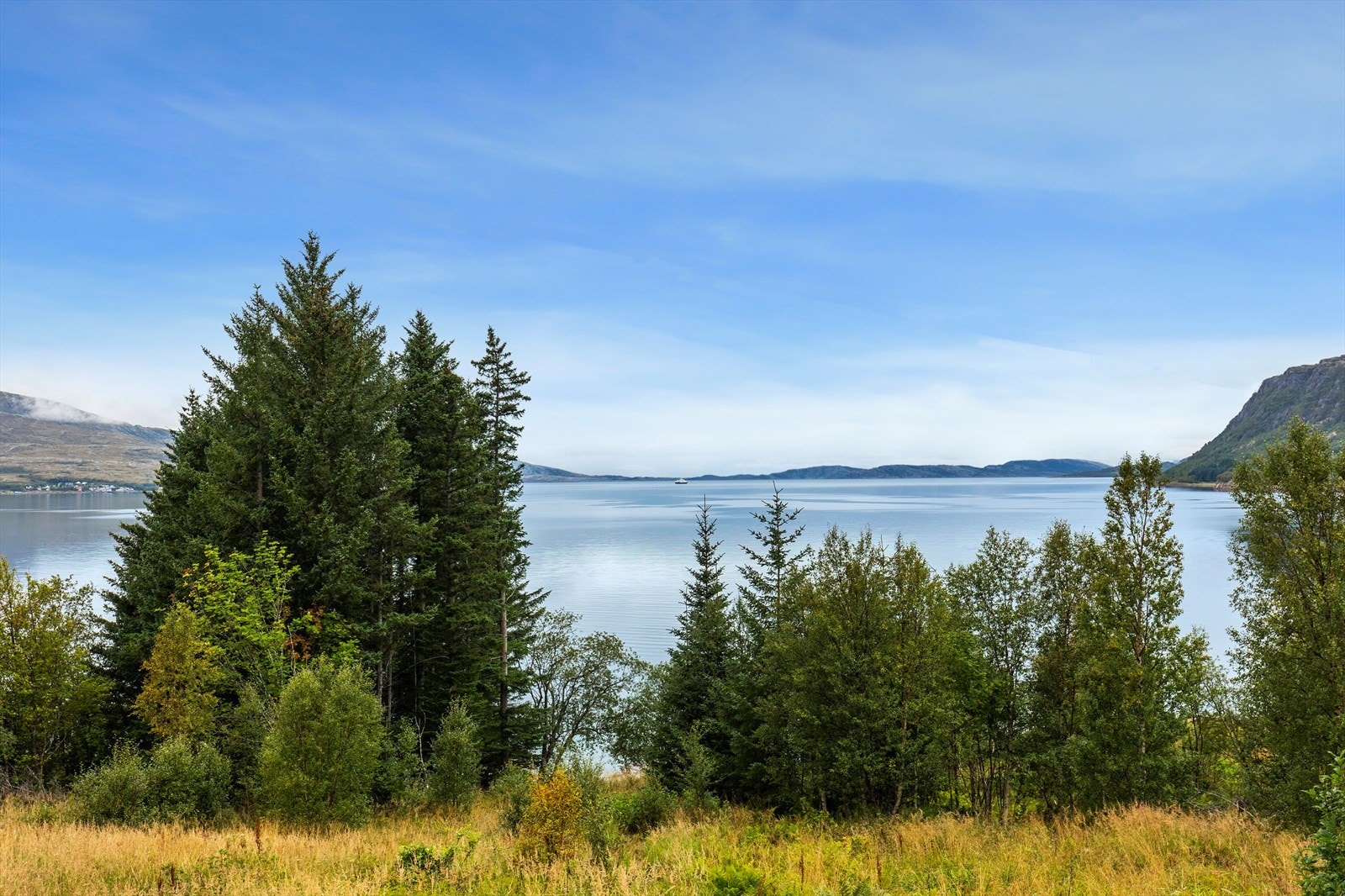 Nydelig utsikt. Galleribilde