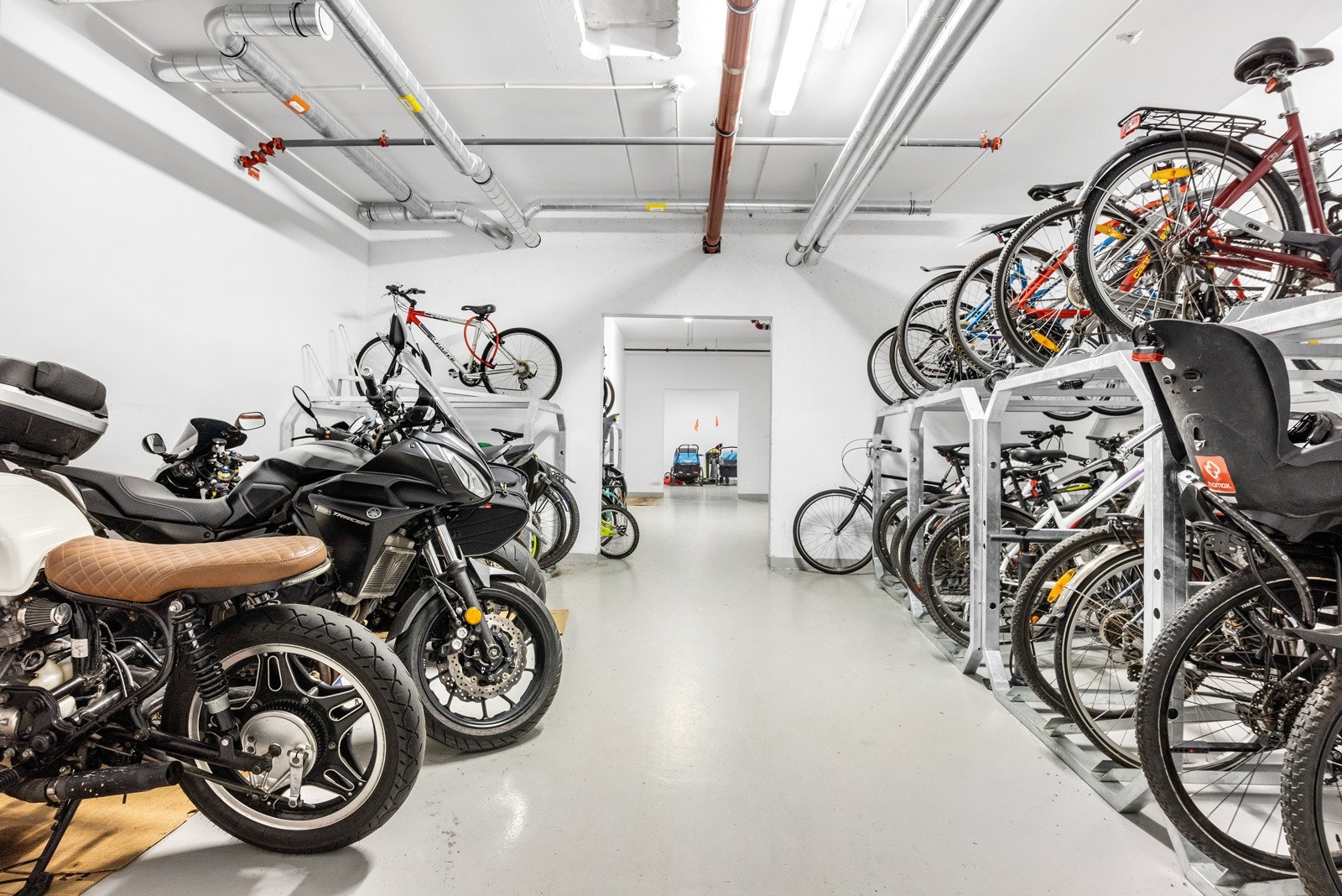 Felles sykkelbod. Galleribilde