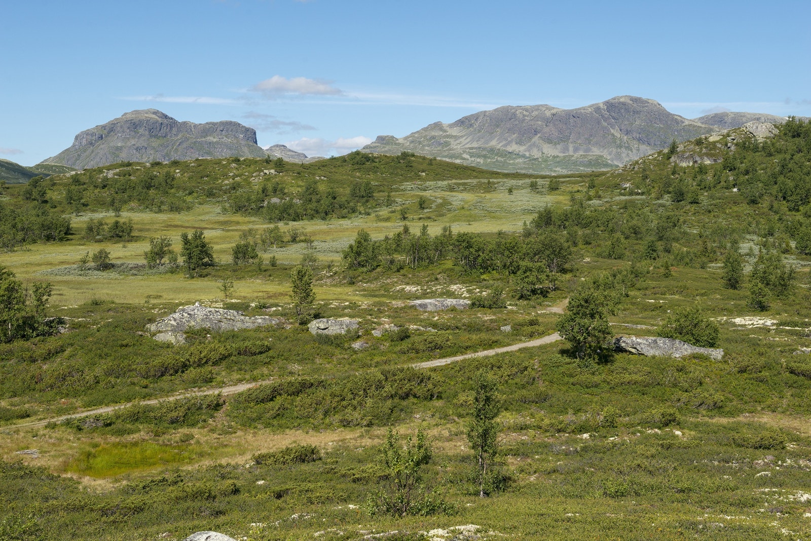 Sykkelveg frå hyttefeltet til Kråkhamar Galleribilde