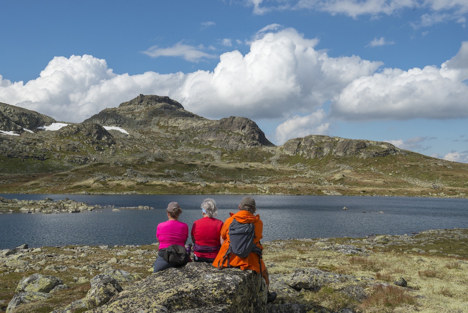 Frå Breadalen - mot Vermenuten Galleribilde
