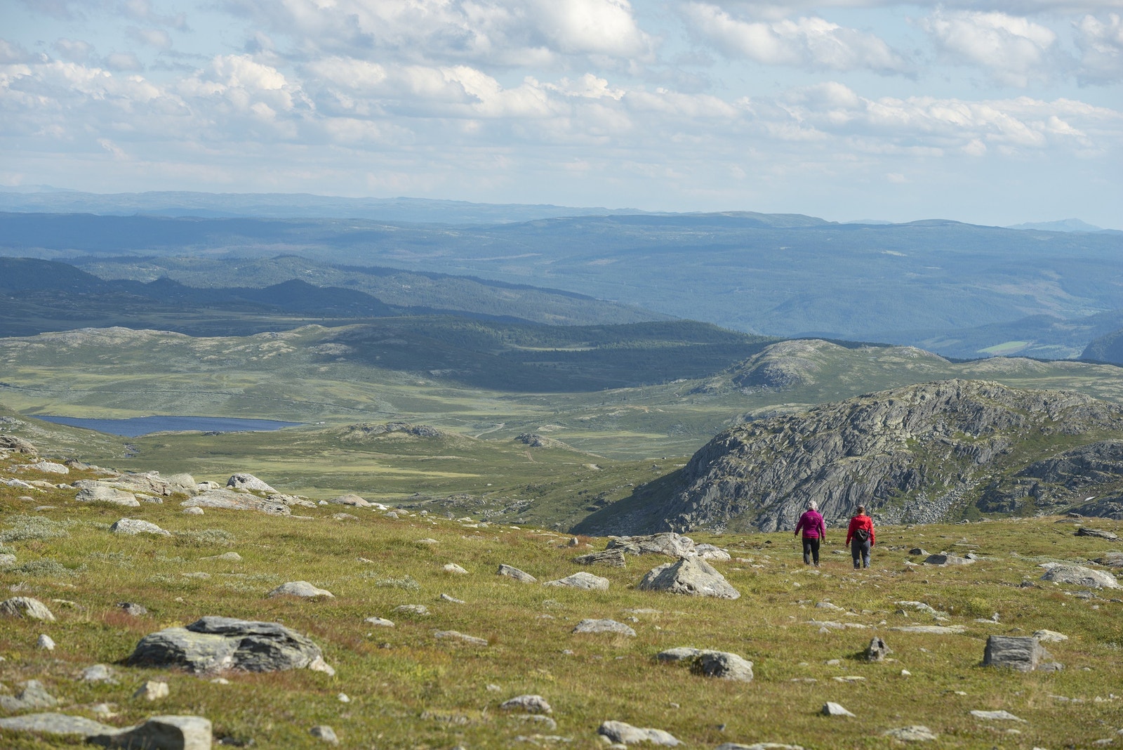 Frå Breadalen - mot Leveldåsen Galleribilde