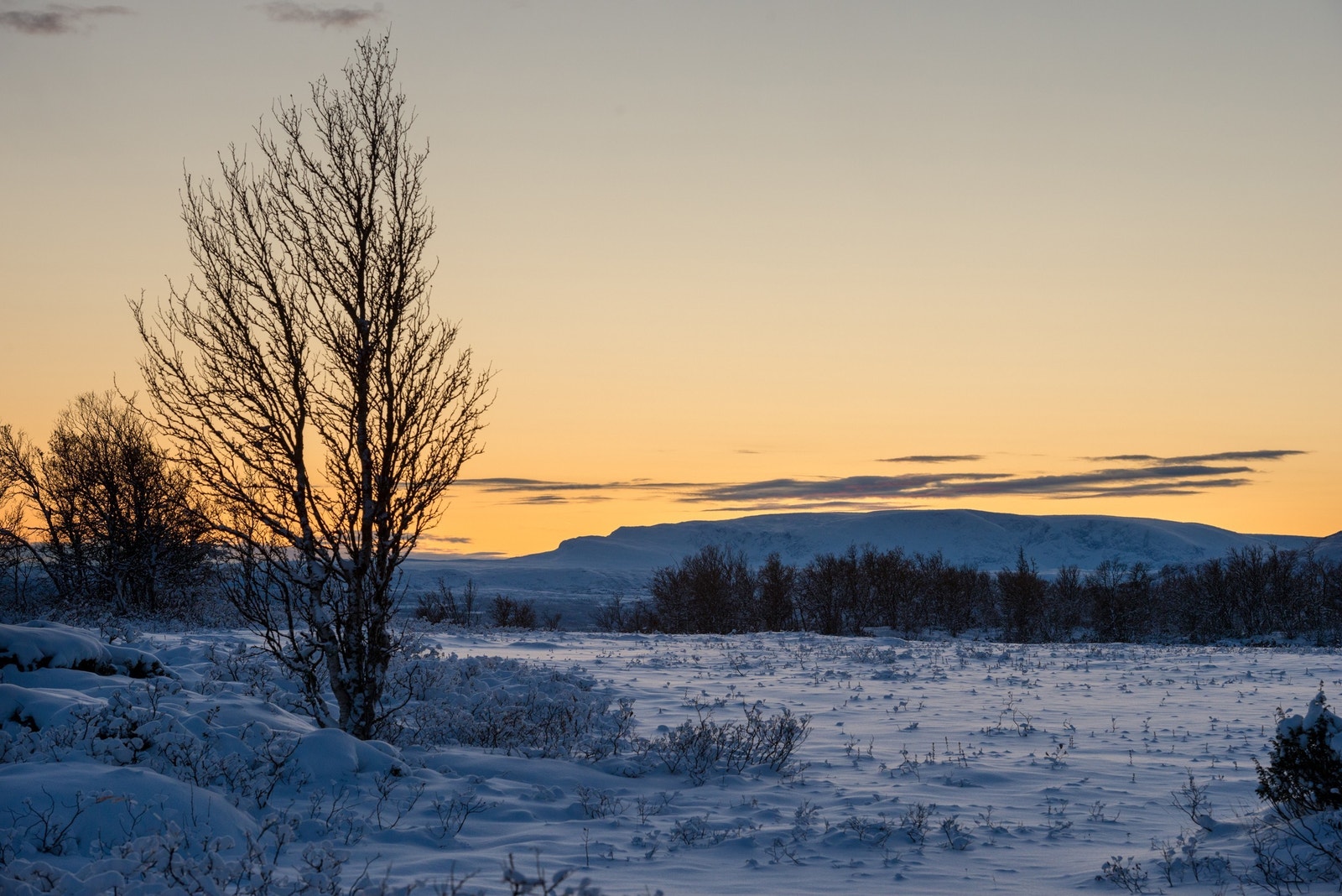 Utsikt frå hyttefeltet - mot Hallingskarvet Galleribilde