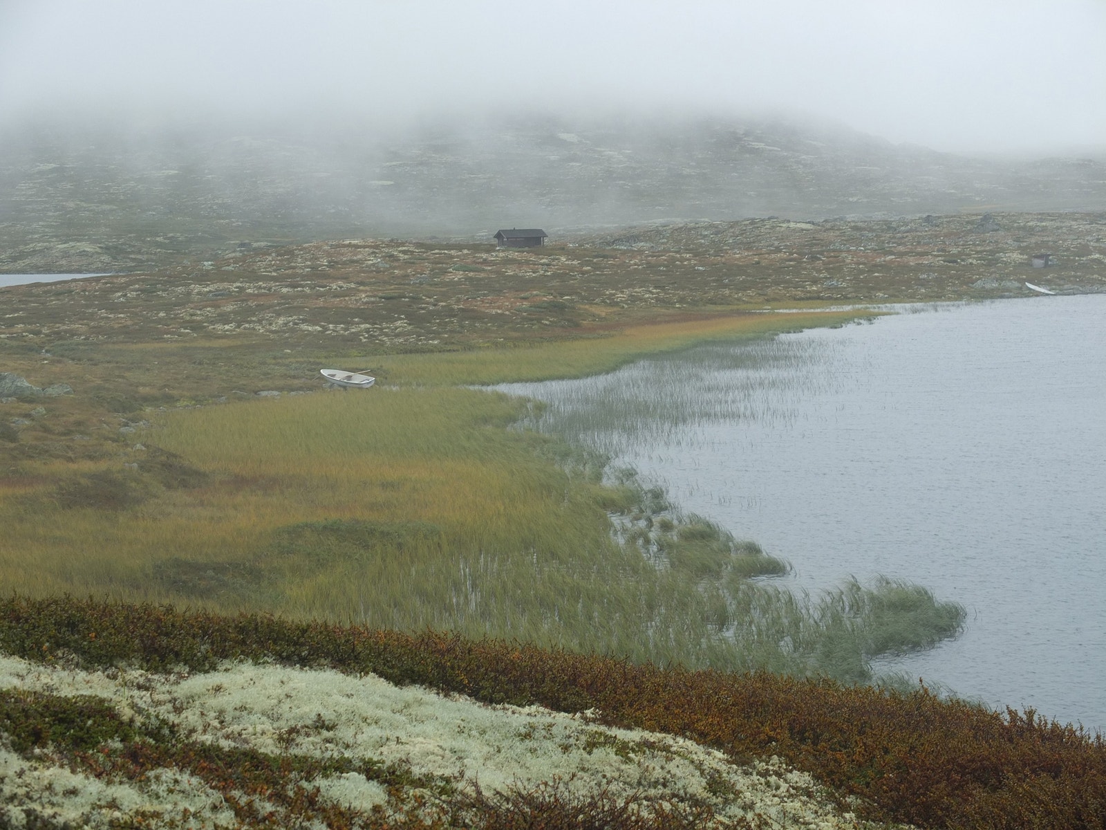 Ved Versjøen Galleribilde