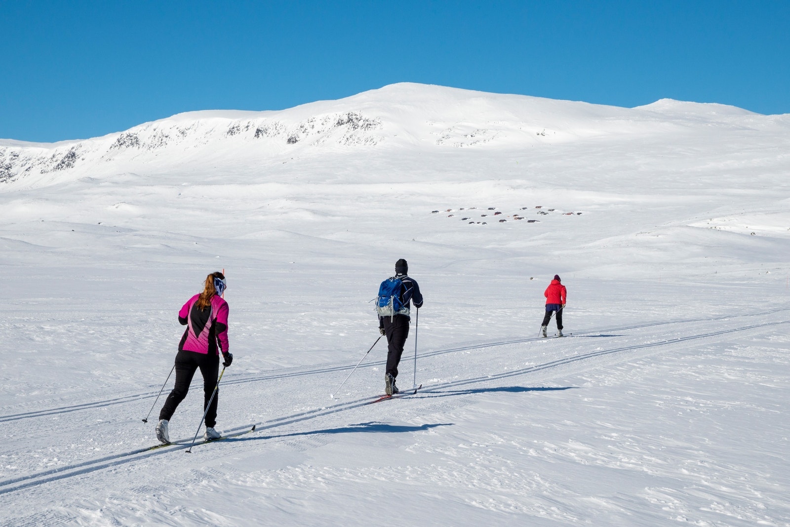 Skiløype mot Reine Galleribilde