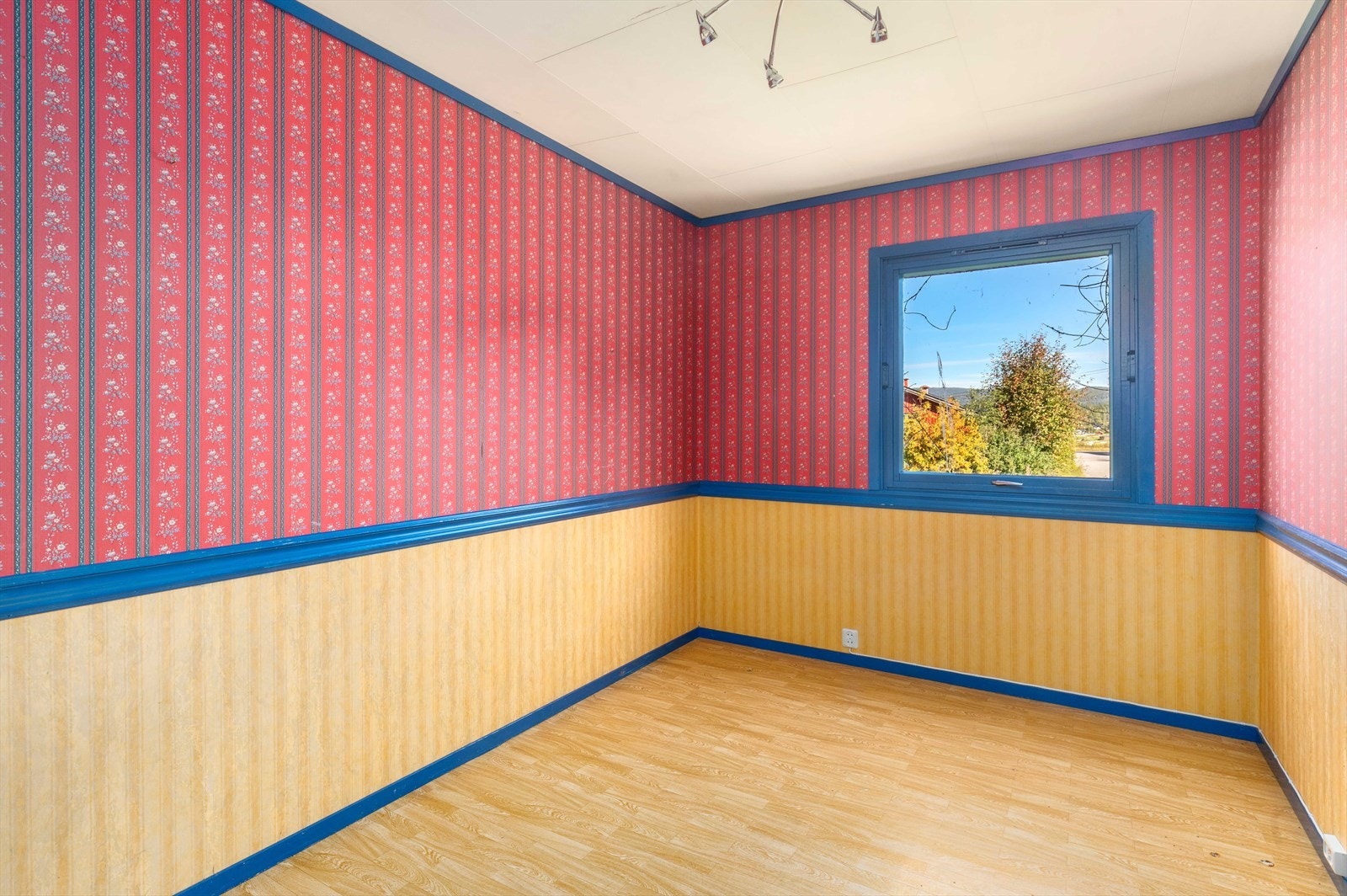 562A5382.jpg Galleribilde