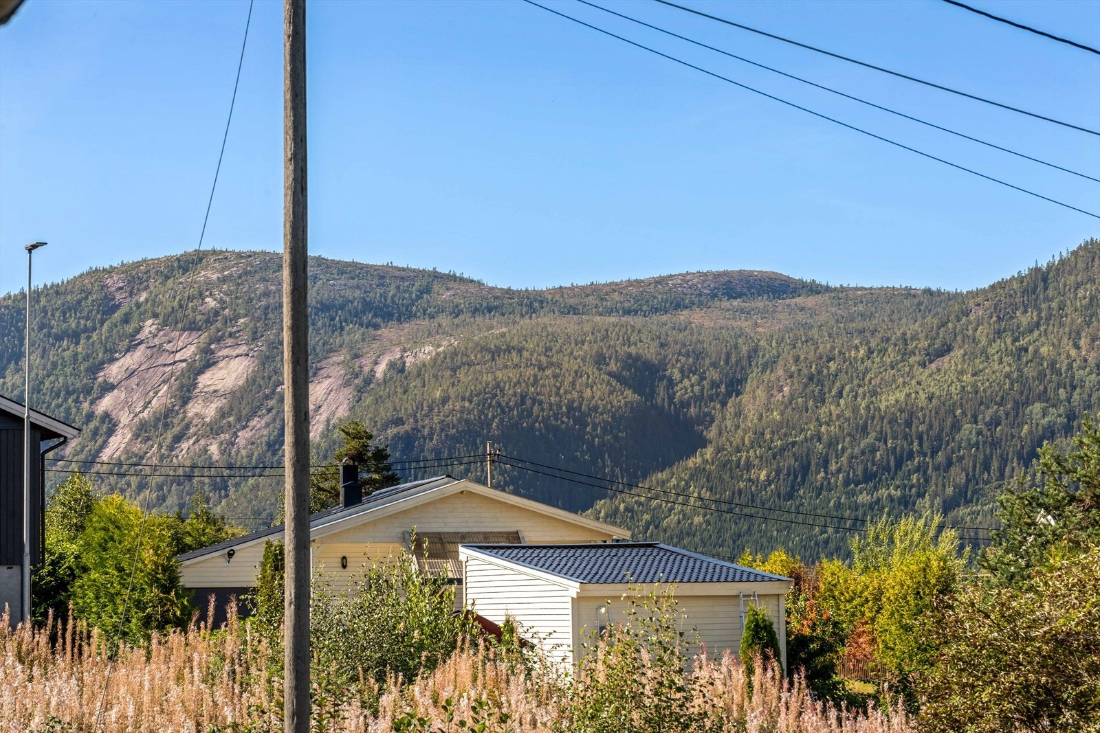 562A5371.jpg Galleribilde