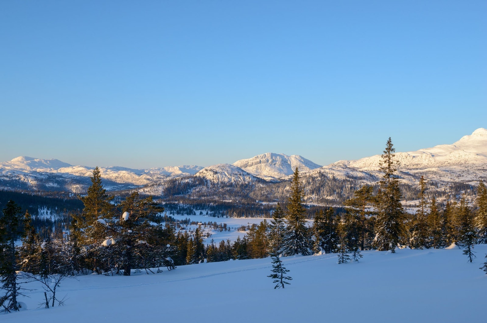 Storslagen natur Galleribilde