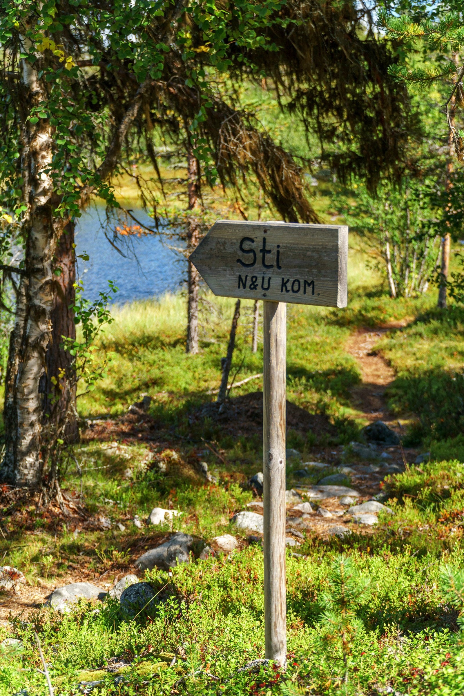 På Tunhovd er det lysløyper for kveldsturer samt et utbredt løypenett for hundekjøring som strekker seg videre til Hallingdal. Galleribilde