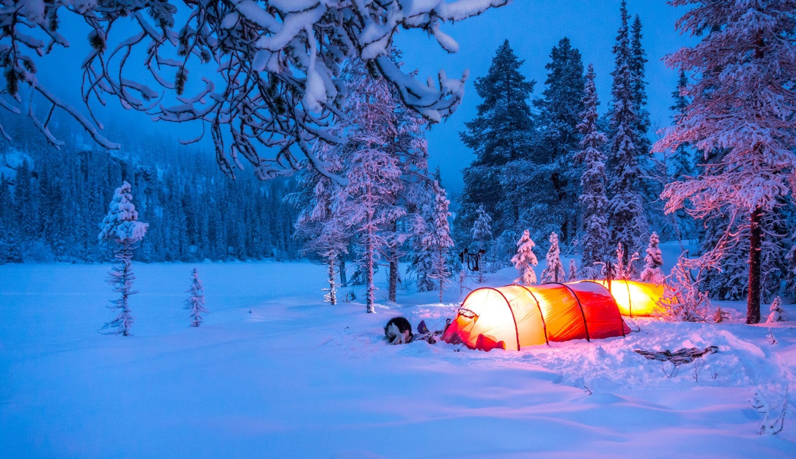 Foto Lars Storheim. Vinterparadis! Galleribilde