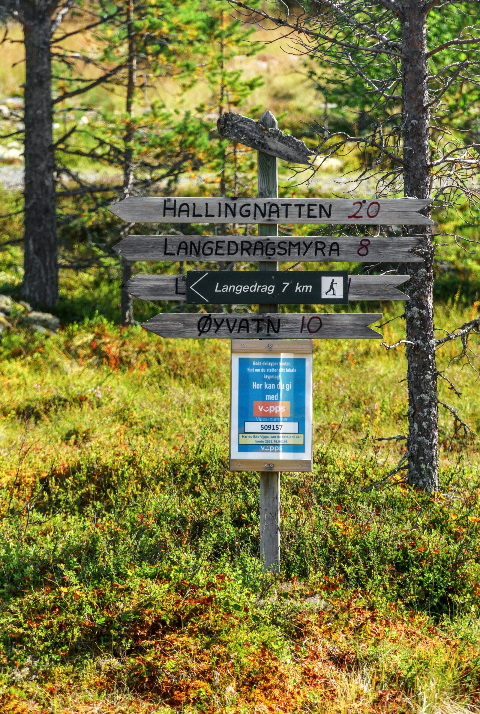 På sommerstid er det mange flotte turstier å velge imellom og i nærområdet til hytta går turstier innover fjellet til kjente topper som Skridunatten. Åkrefjell, Trommenatten, Turrhaugnatten og Dusetind for å nevne noen. Galleribilde