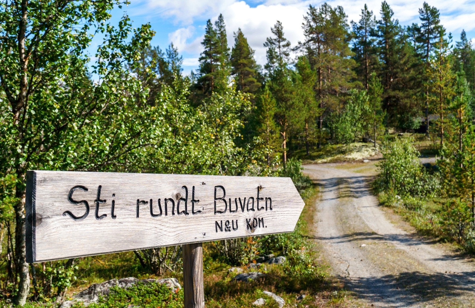 Buvatn og Tunhovdforden ligger kort vei unna hytta med fiske- og bademuligheter. Galleribilde
