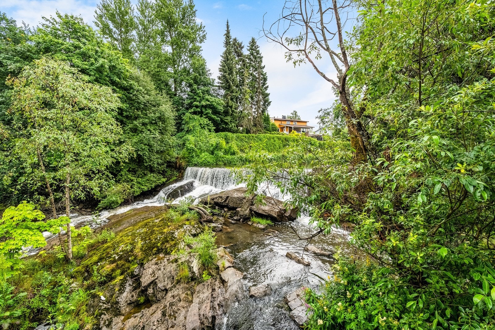 - Nærområdet - Galleribilde