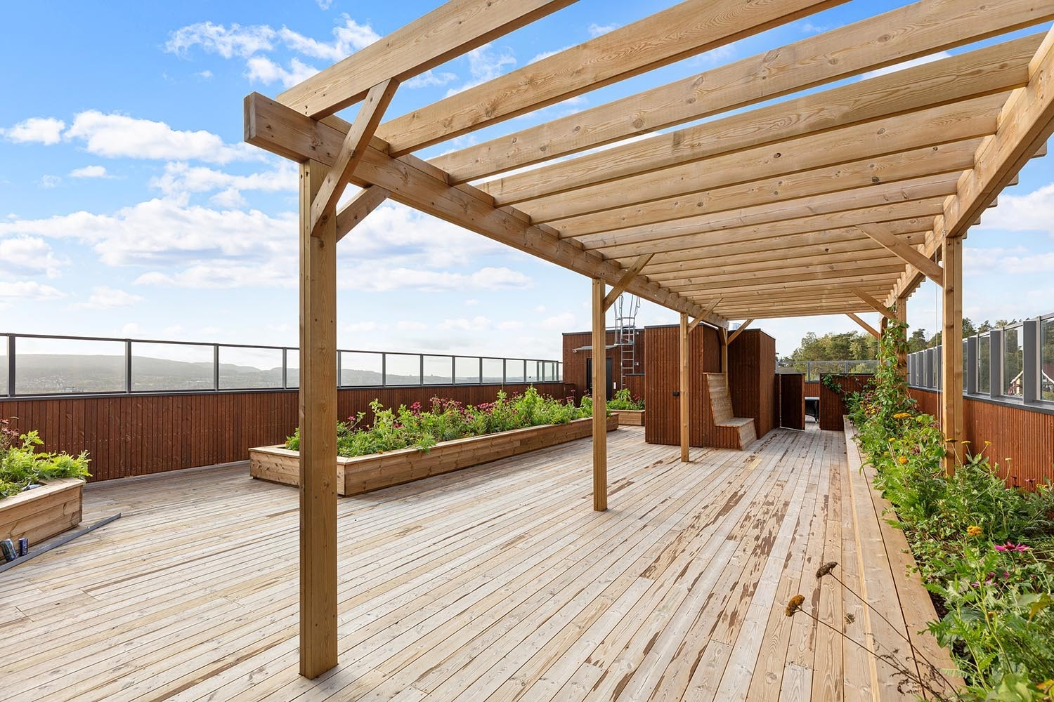Felles takterrasse på toppen av bygget Galleribilde