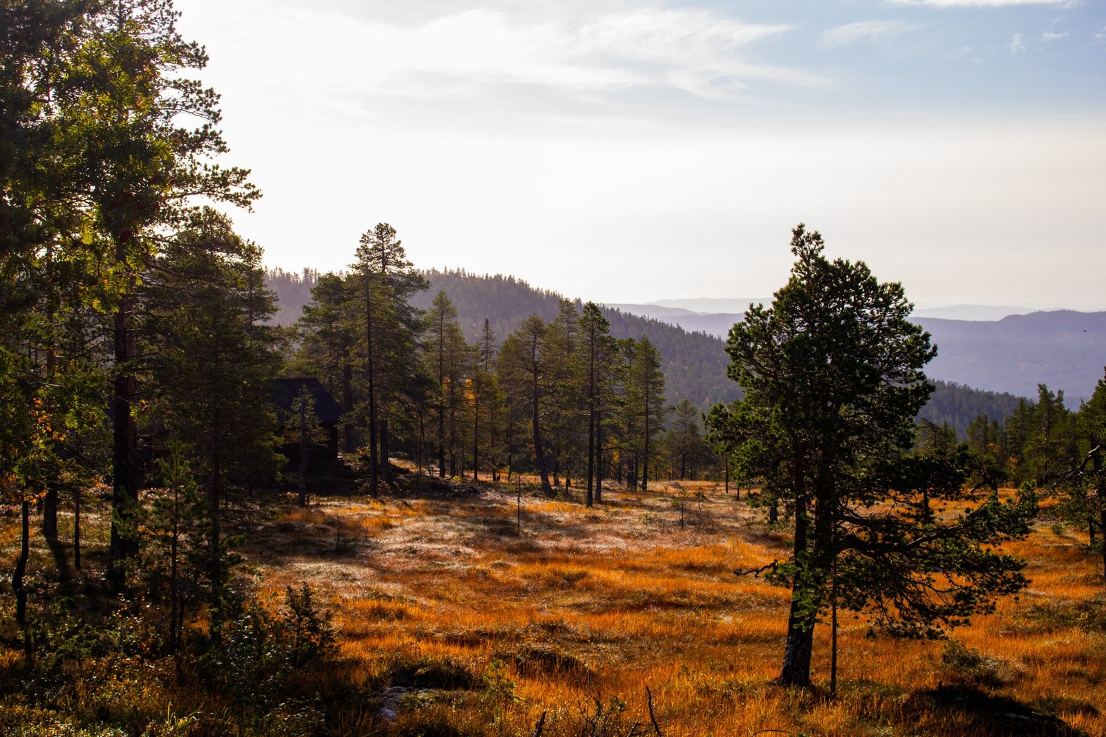 Høstfarger i området 26.9.23 Galleribilde