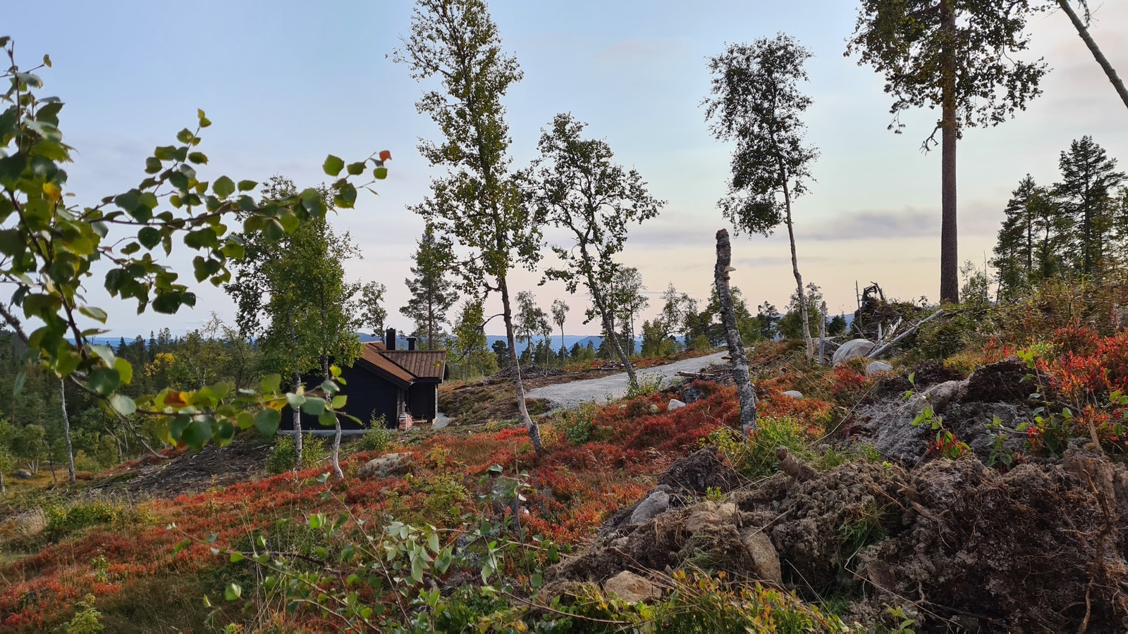 Lignende Ålhytte i samme område Galleribilde