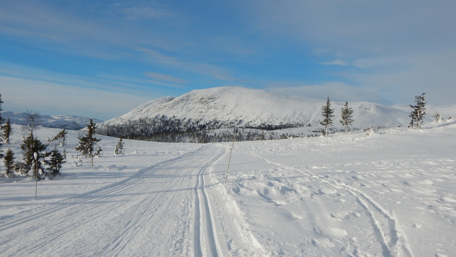 Flotte oppkjørte skiløyper på Sørbølfjell Galleribilde