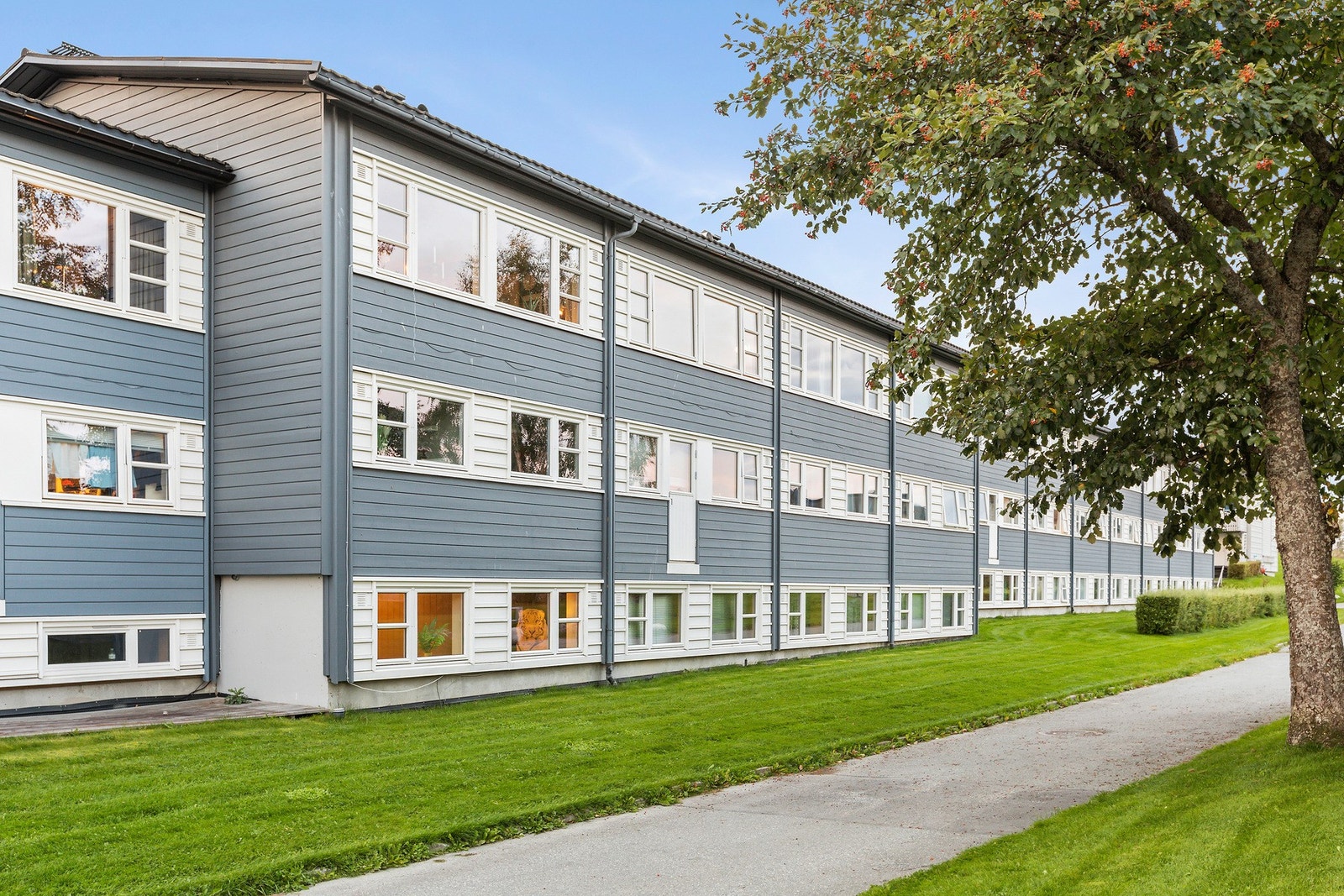 Velkommen til visning! Galleribilde