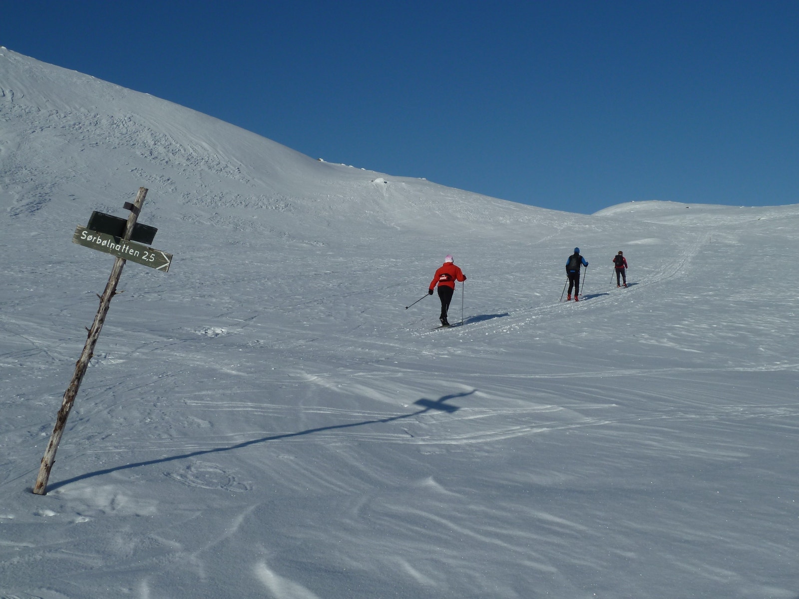 Innover snaufjellet kan en gå i timesvis i alle retninger, i høyfjellet eller over til Vassfaret landskapsvernområde Galleribilde