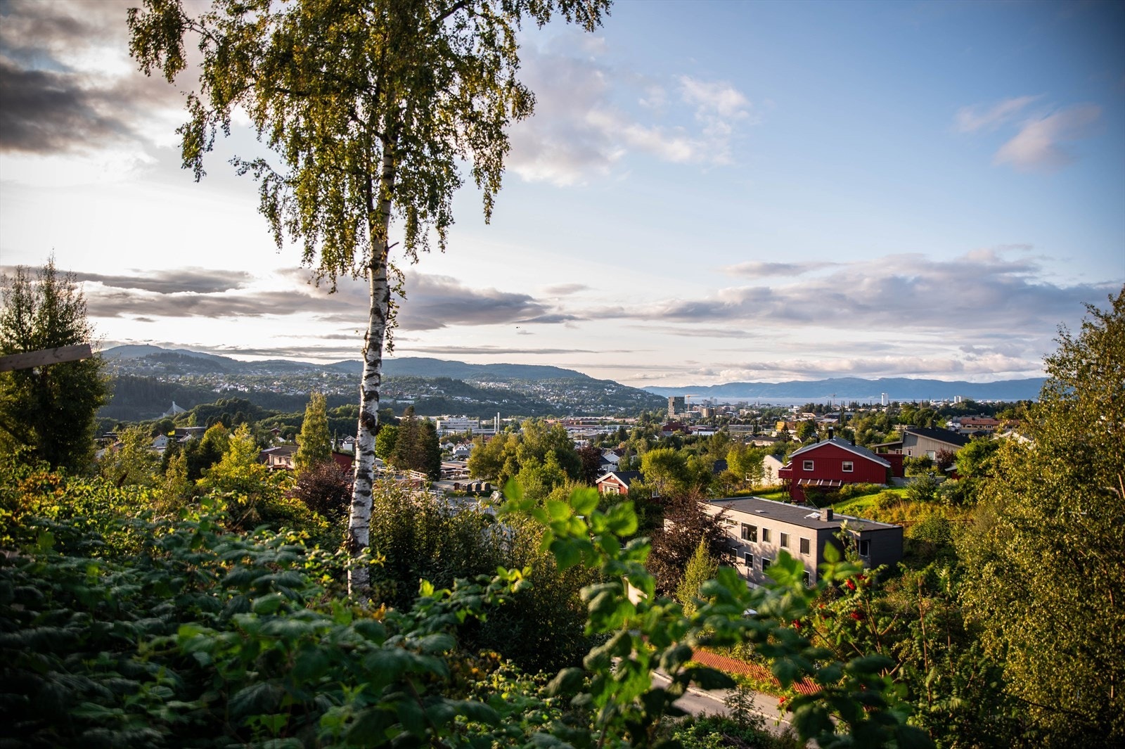 Tomten ligger i et område regulert blant annet til bolig. Galleribilde