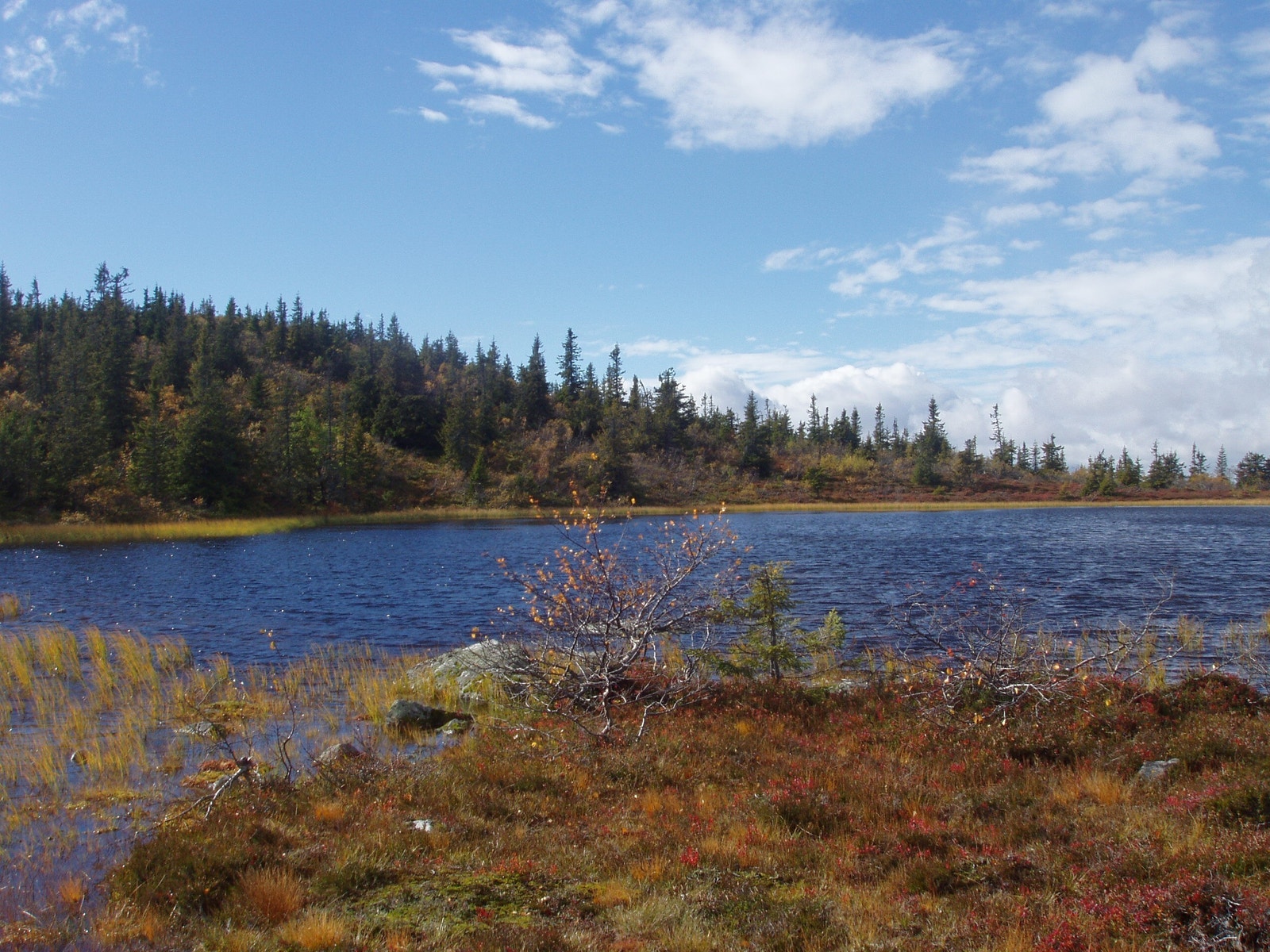 Pålstjernet på Engulvsfjellet Galleribilde