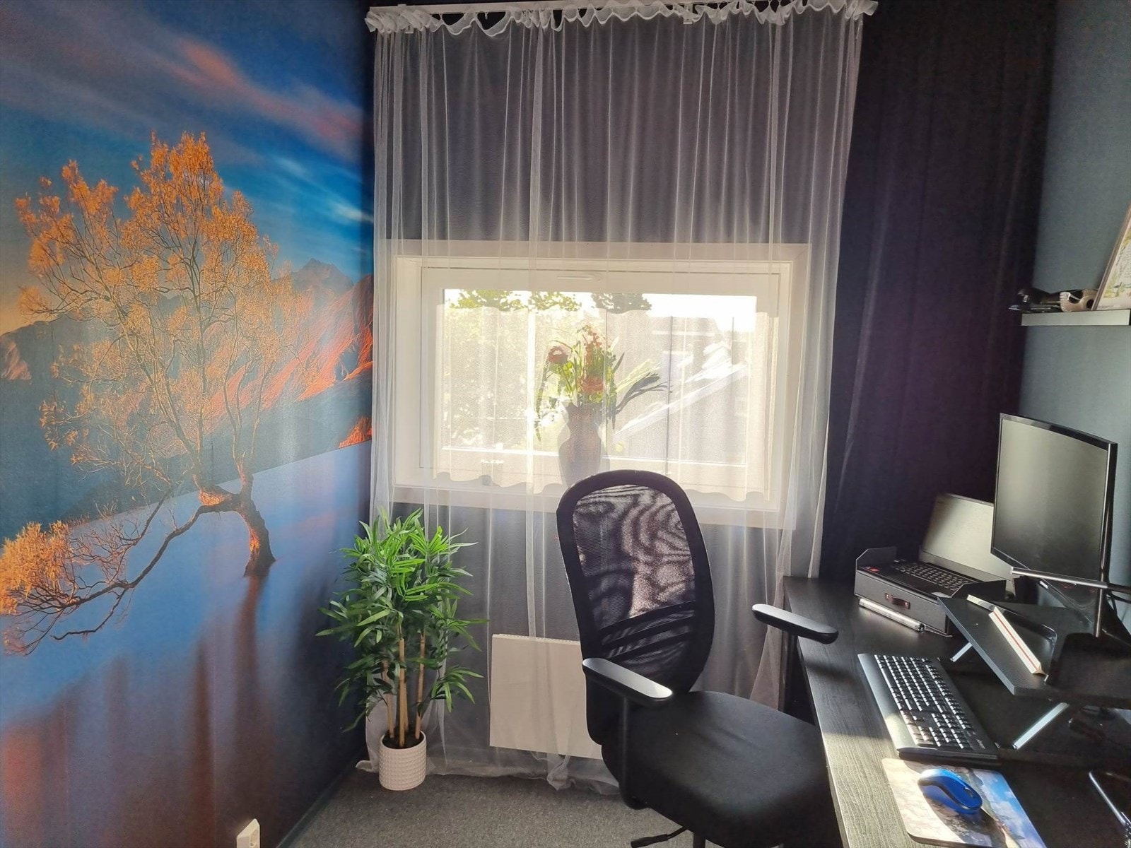 received_606398204786133.jpeg Galleribilde