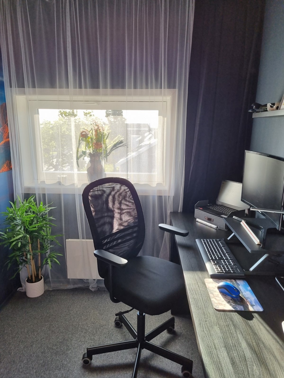 20230528_062142_resized.jpg Galleribilde