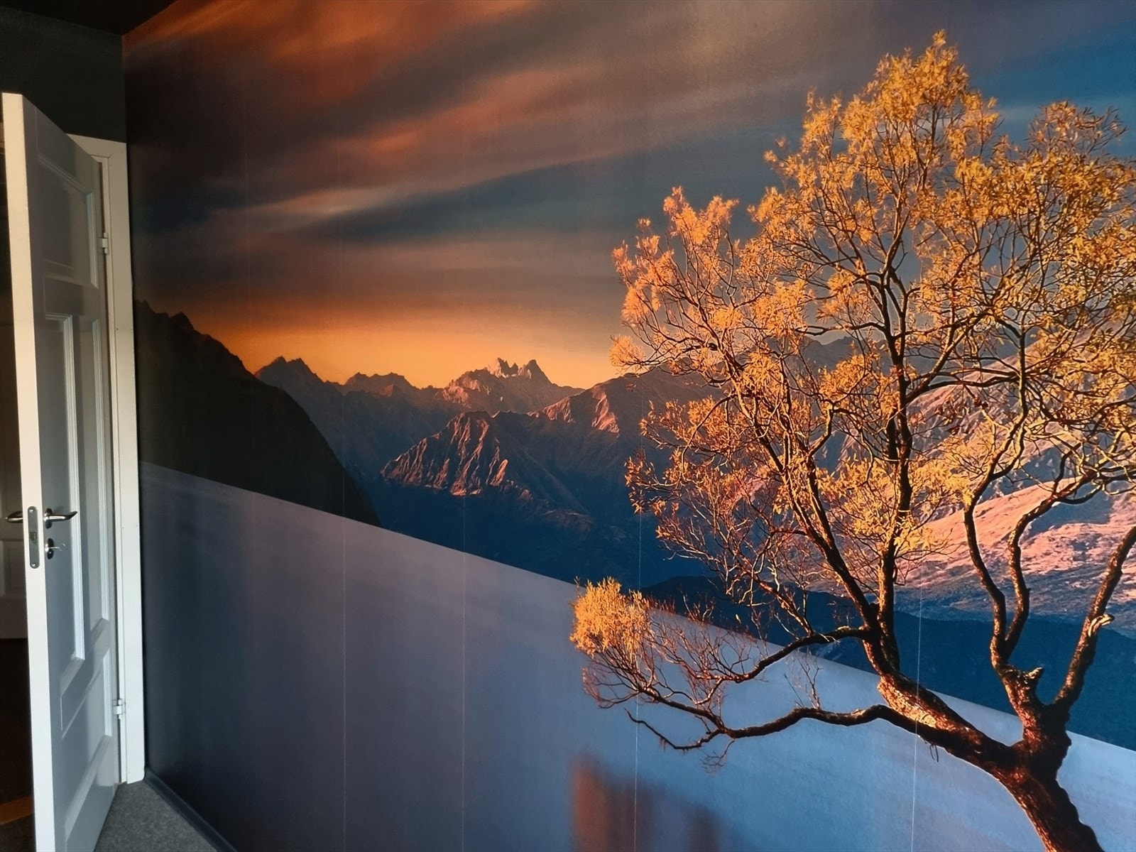 20230527_063907_resized.jpg Galleribilde