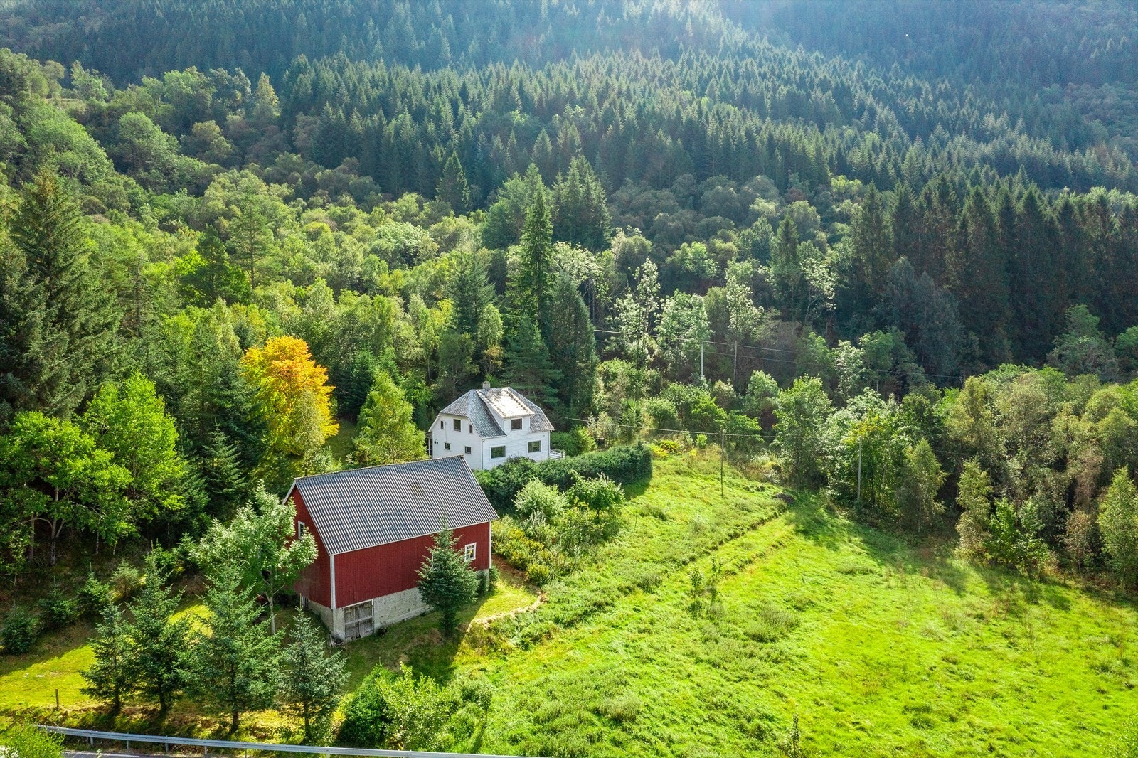 Mye av skogen i bilde bak eiendommen tilhører eiendommen. Det er anlagt traktorvei opp til skogteig fra riksvei når du kjører mot Hjelmeland på høyre side. Her er det også Lunner for hogst lett tilgjengelig. Galleribilde