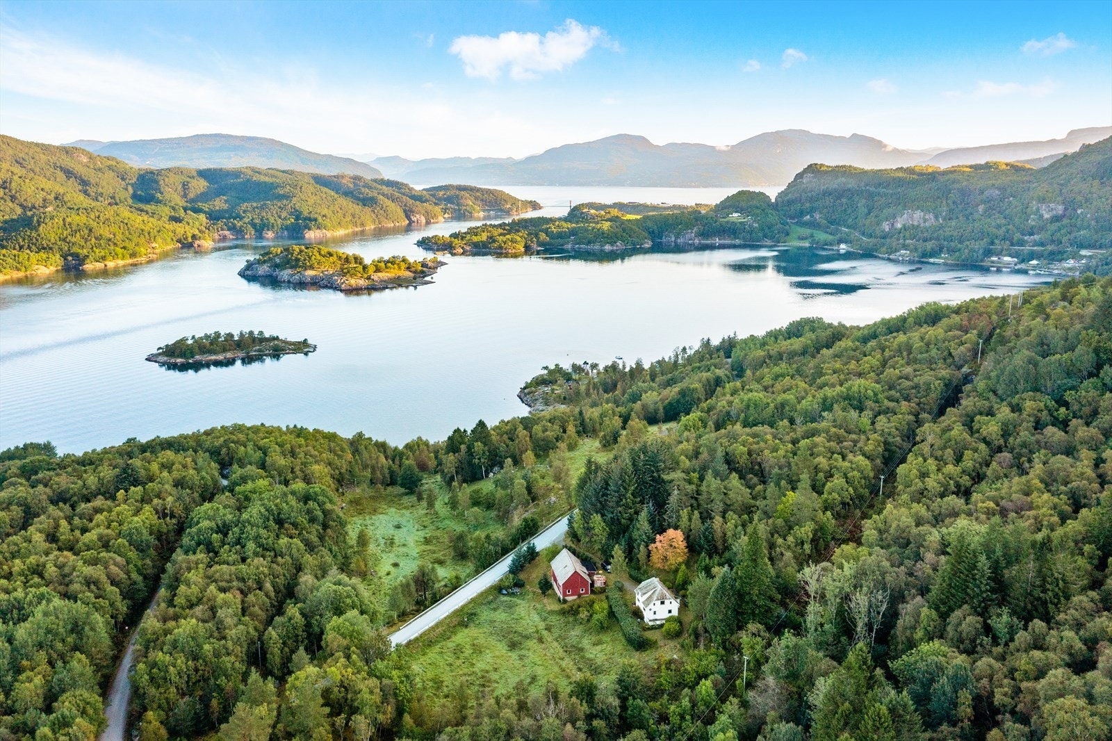 "Skogen på eiendommen er stort sett høg bonitet og det står nok mer volum i granfeltet enn det som viser i planen. Planen er frå 2006 og fremskrevet til 2019. Noen foreløpige tall, står det nok 13 -16000 kubikk med grantømmer i hogstklasse 4 og 5." Galleribilde