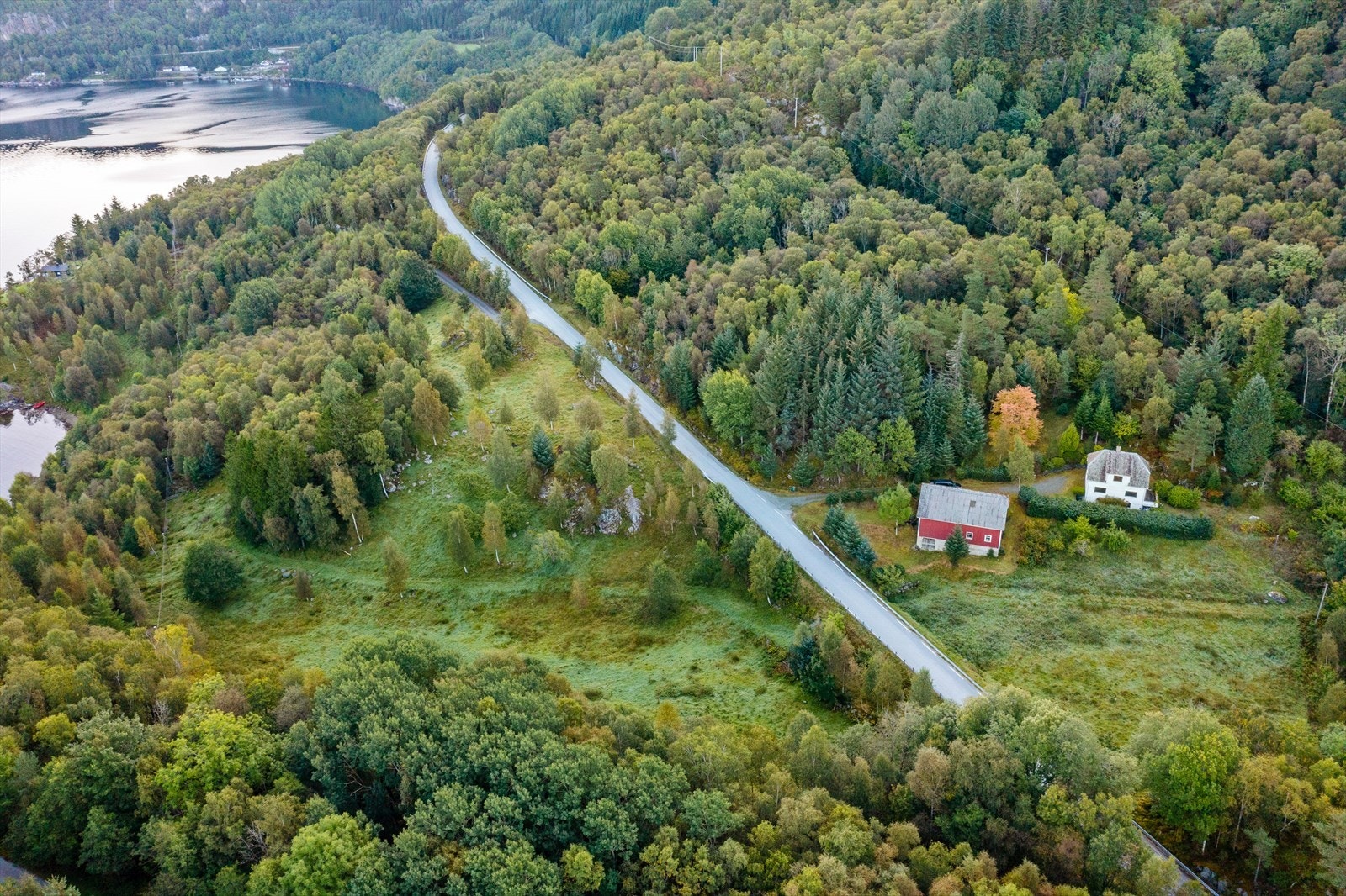 For å kunne drive ut mye av skogen vil det nok være behov for noe mer vegbygging. Galleribilde