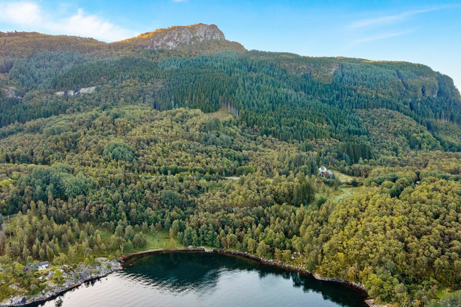 Skogen strekker seg helt opp mot Lauvåsen, hvor eiendommen har flere hundre meter med traktovei innover i skogen. Galleribilde