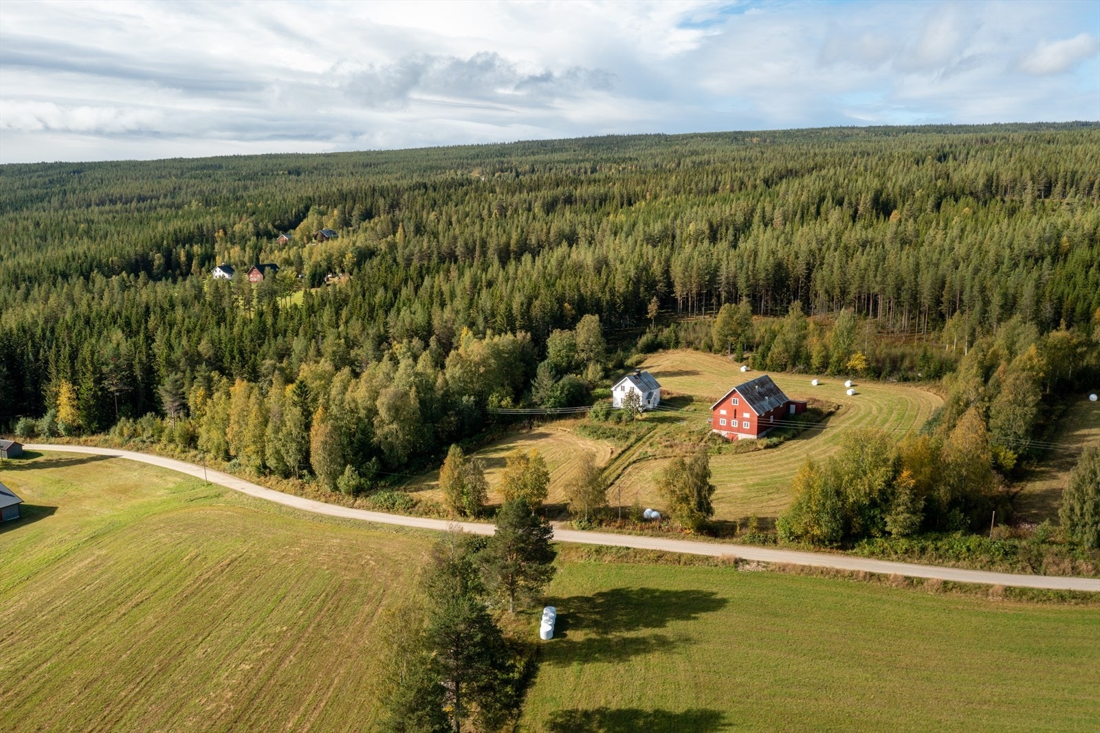 Skogen tilhørende eiendommen er fordelt på to teiger. Galleribilde