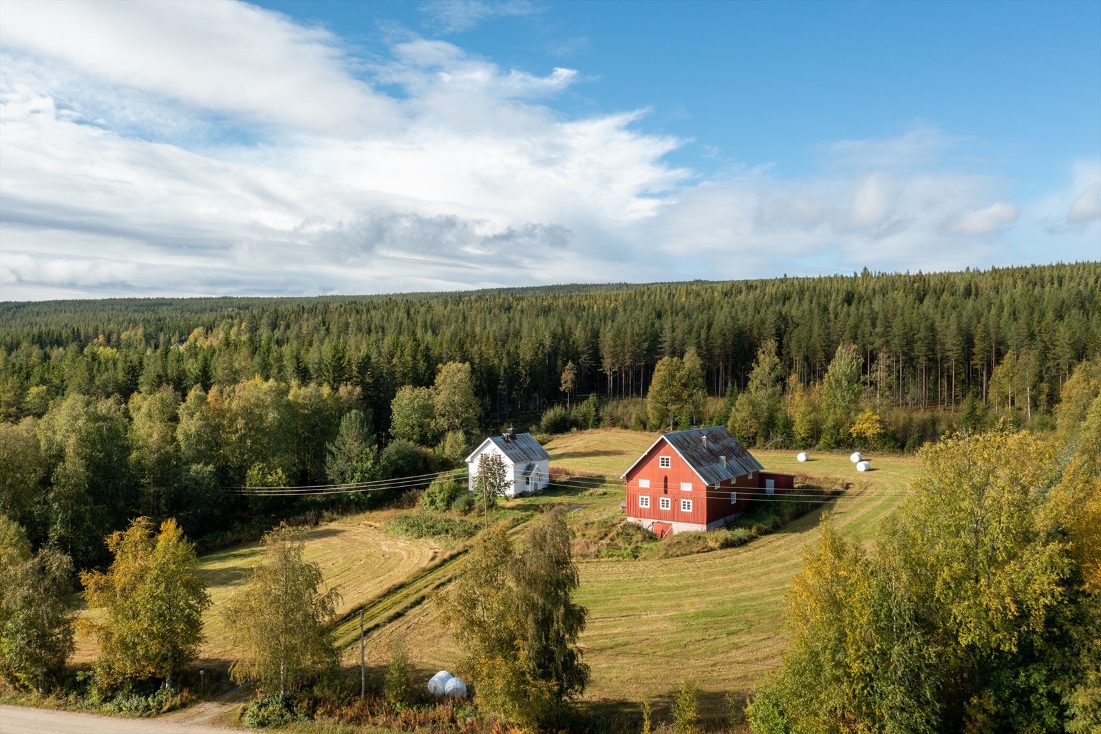 Med eiendommen følger en stor tomt, med blant annet ca. 316,7 daa produktiv skog. Galleribilde