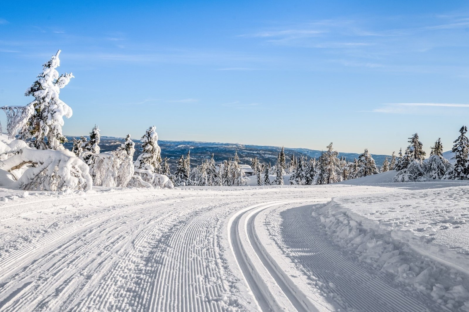 Lifjell løypelag legger ned en flott jobb med løypenettet på Lifjell Galleribilde