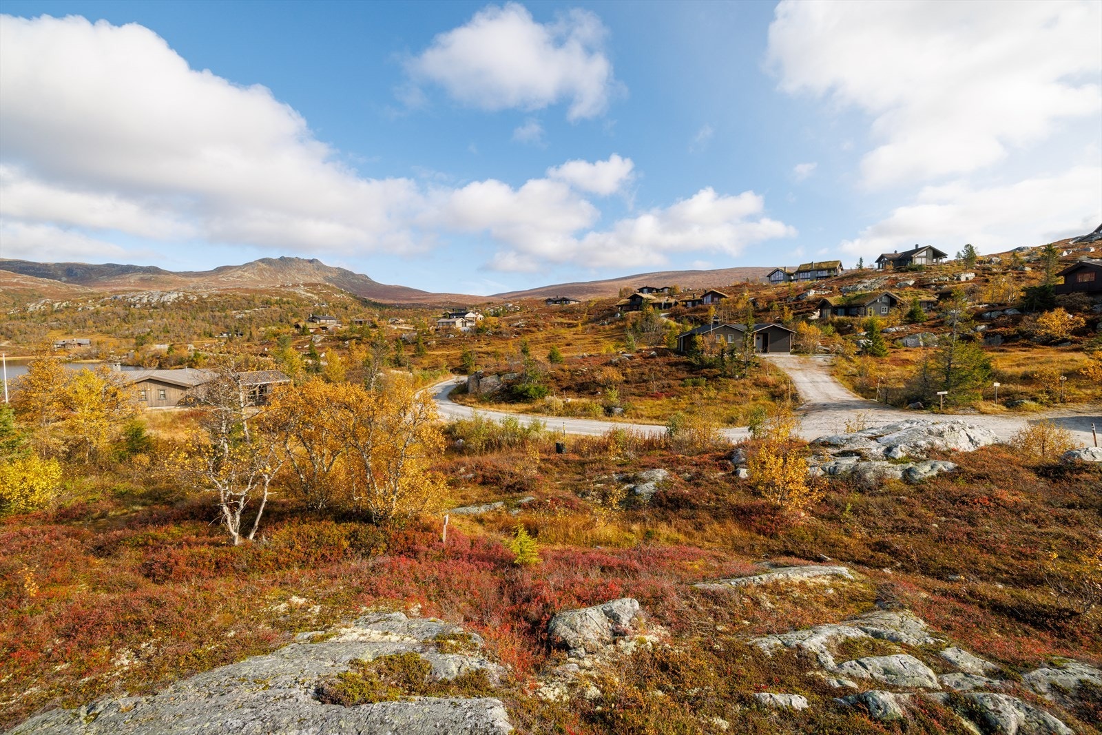 Området rundt tomtene 78 og 79 Galleribilde