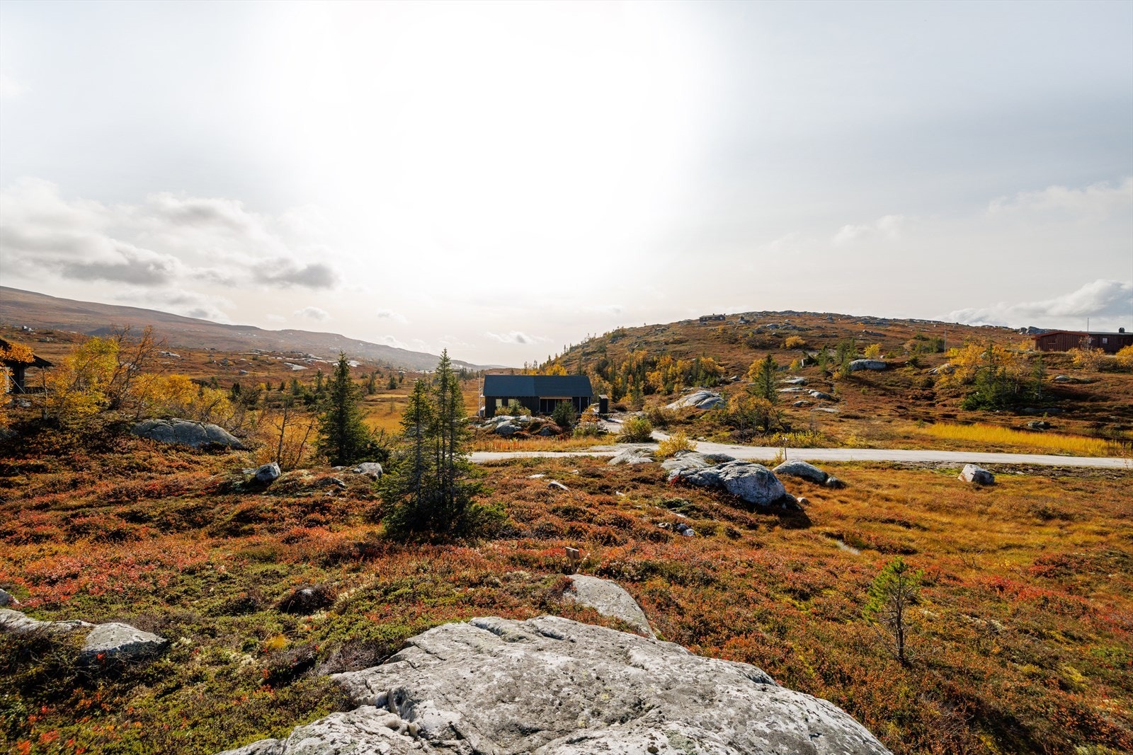 Området rundt tomt 45 Galleribilde