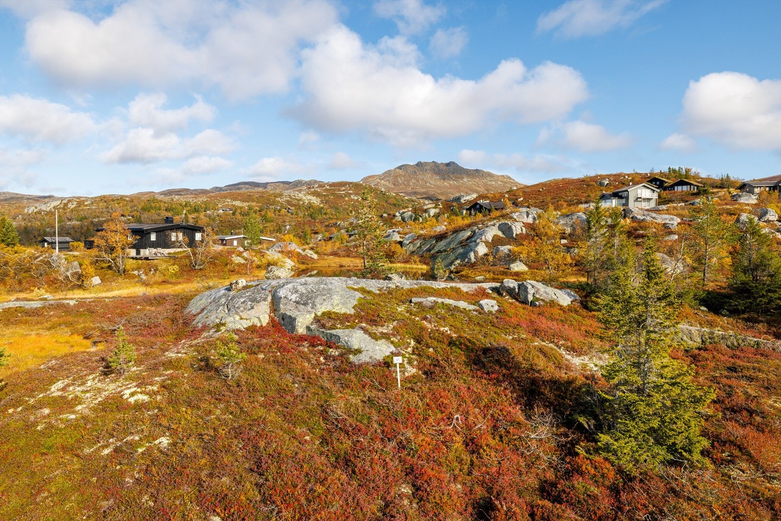 Området rundt tomt 45 Galleribilde
