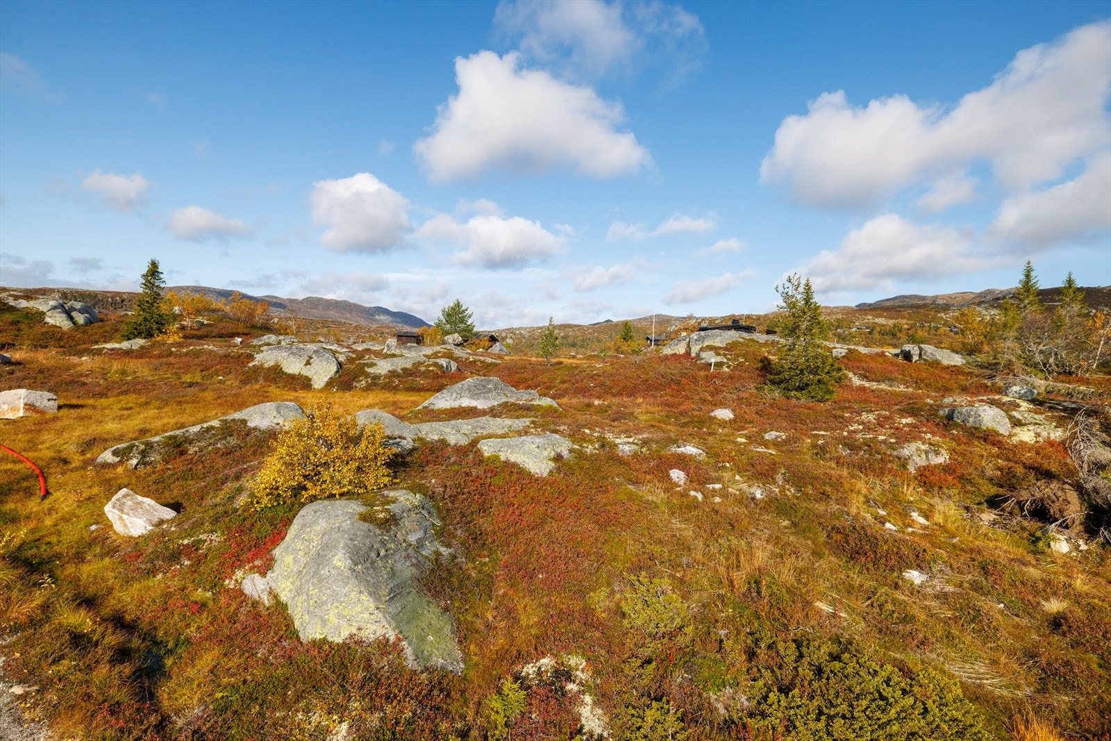 Området rundt tomt 45 Galleribilde