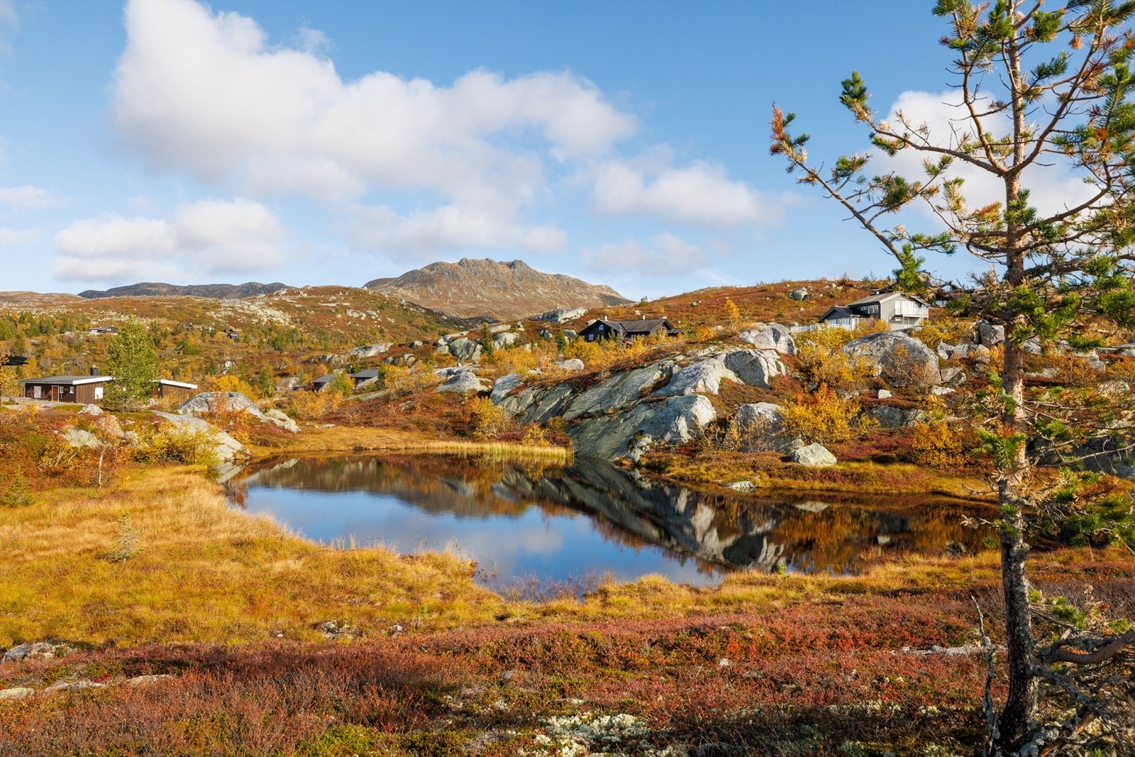 Velkommen til Istjenn på Tempelseter! Galleribilde