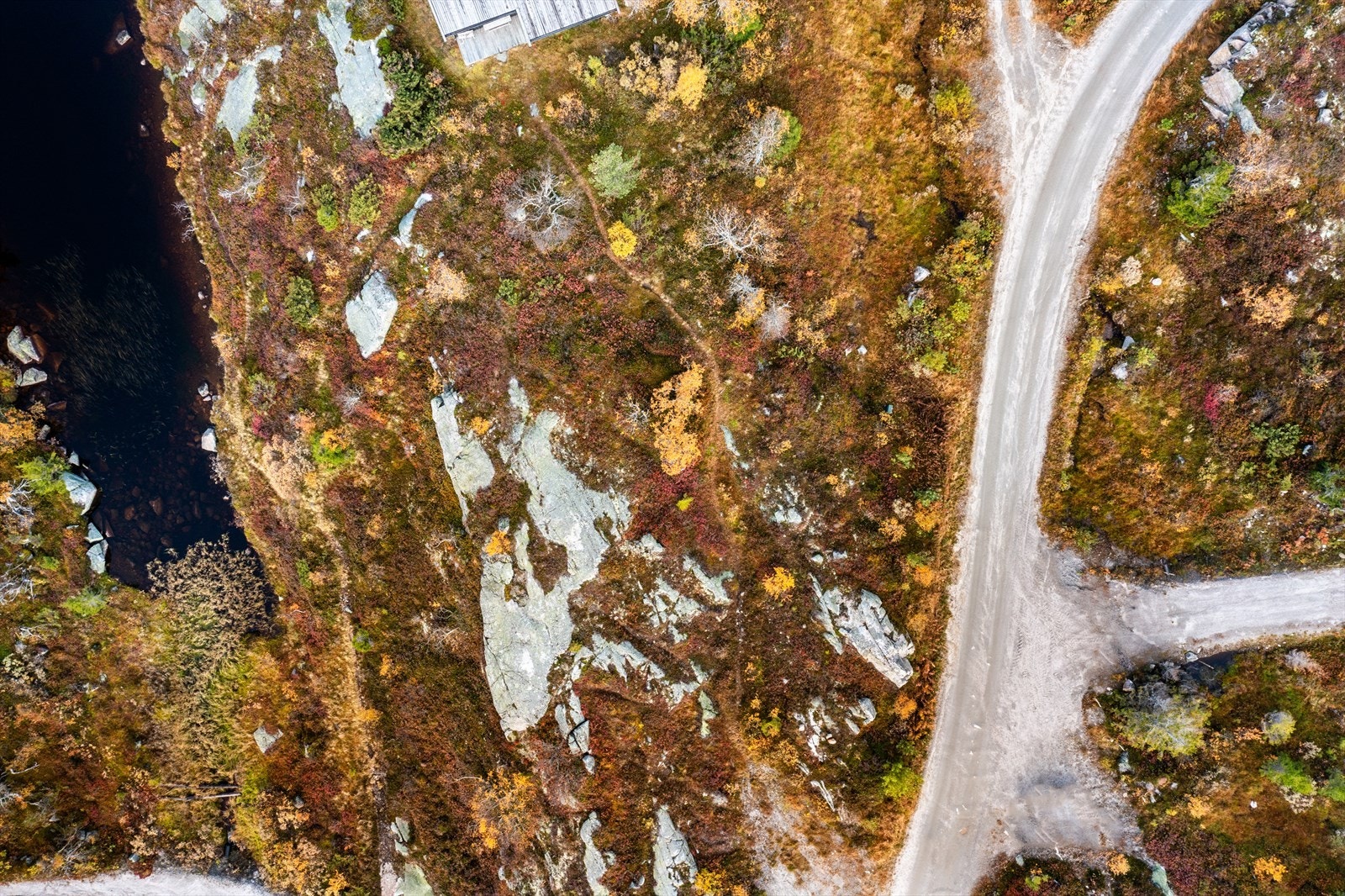 Oversiktbilde over tomtene 78 og 79 Galleribilde