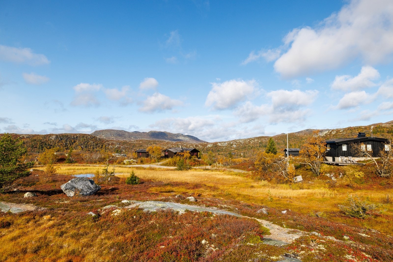 Området rundt tomt 45 Galleribilde