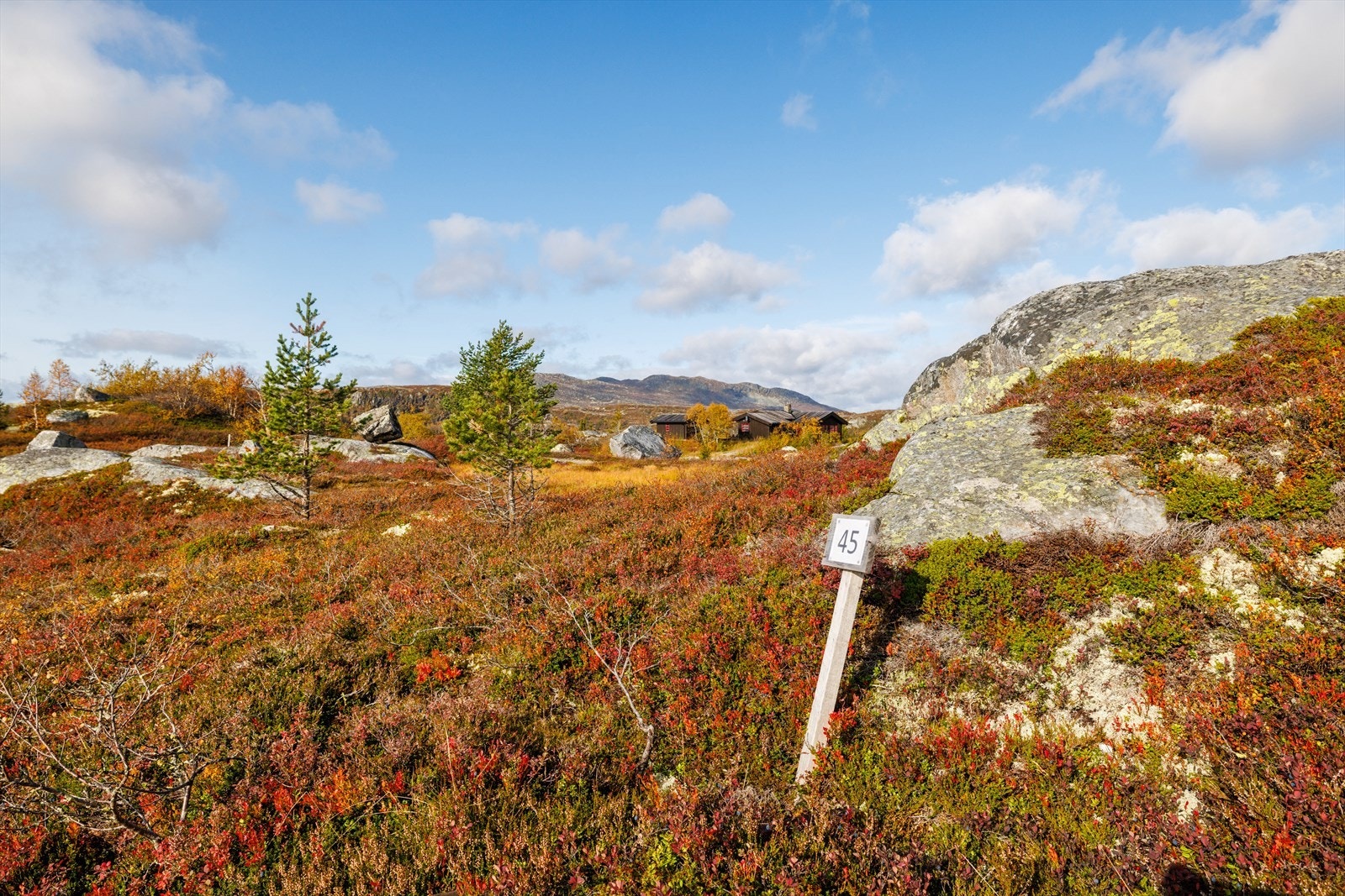 Området rundt tomt 45 Galleribilde