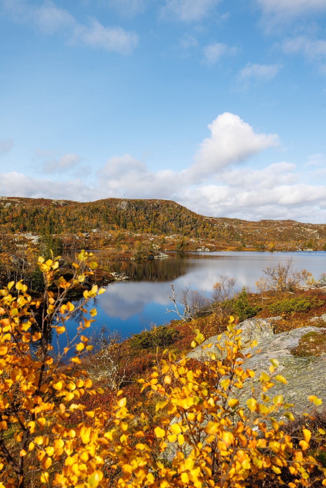 Fra området er det turmuligheter i alle retninger enten man vil gå mot Haglebu , til Fiskeløysningen og Høgevarde Galleribilde