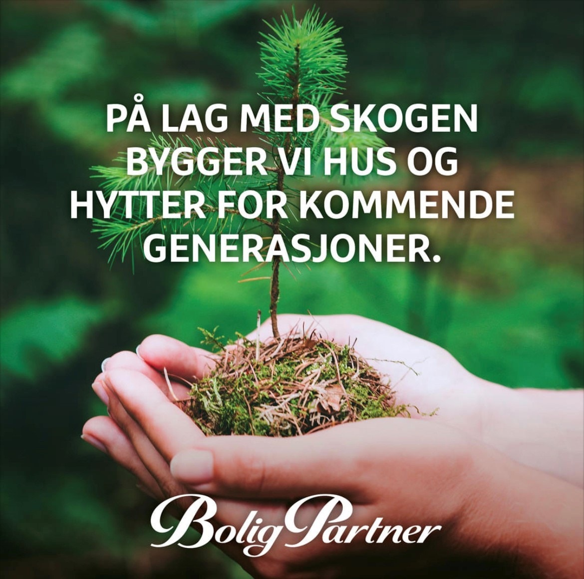 Boligpartner er på lag med skogen! Galleribilde