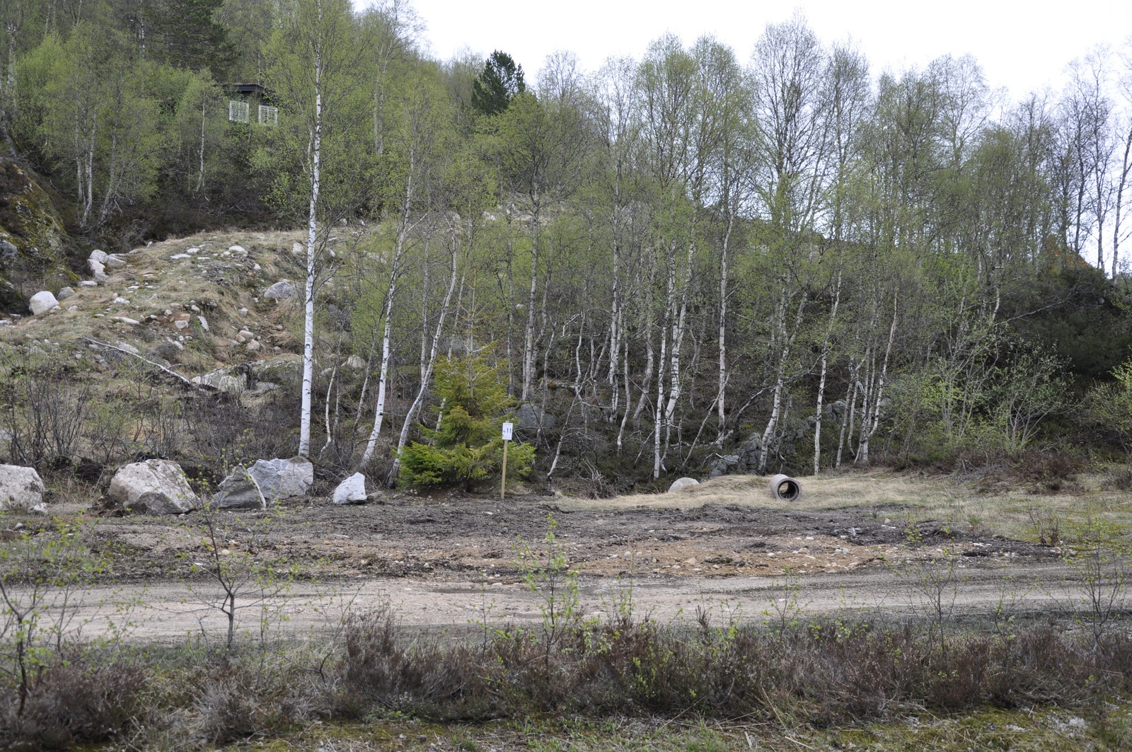 Bilder fra tomt 11 Galleribilde