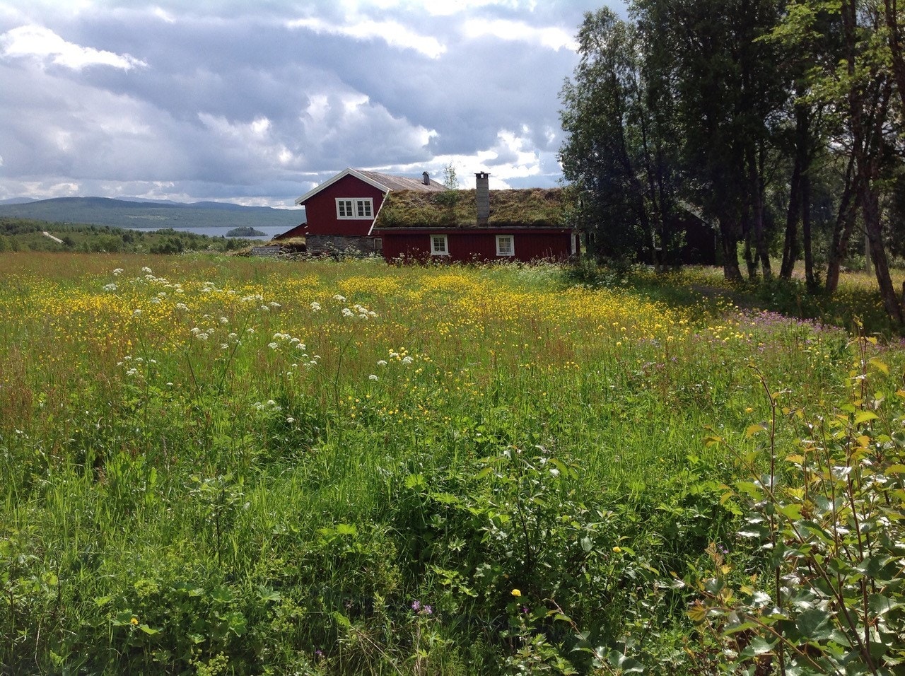 Selgers egne bilder. Galleribilde